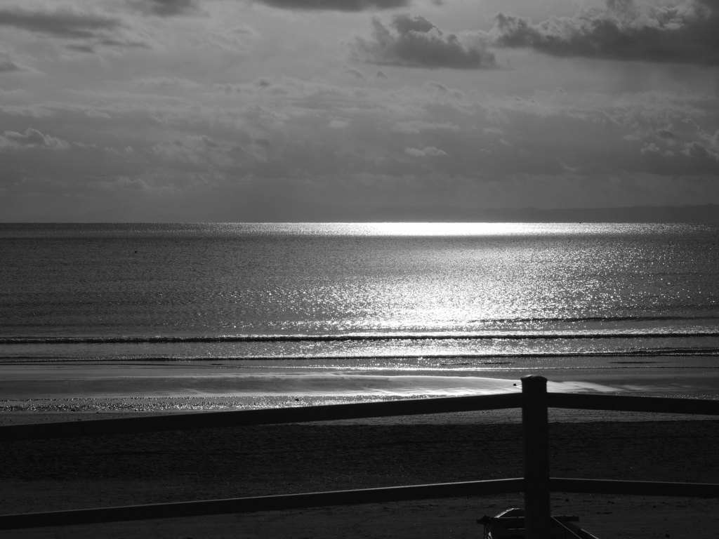 MoNocHRomE sEa
