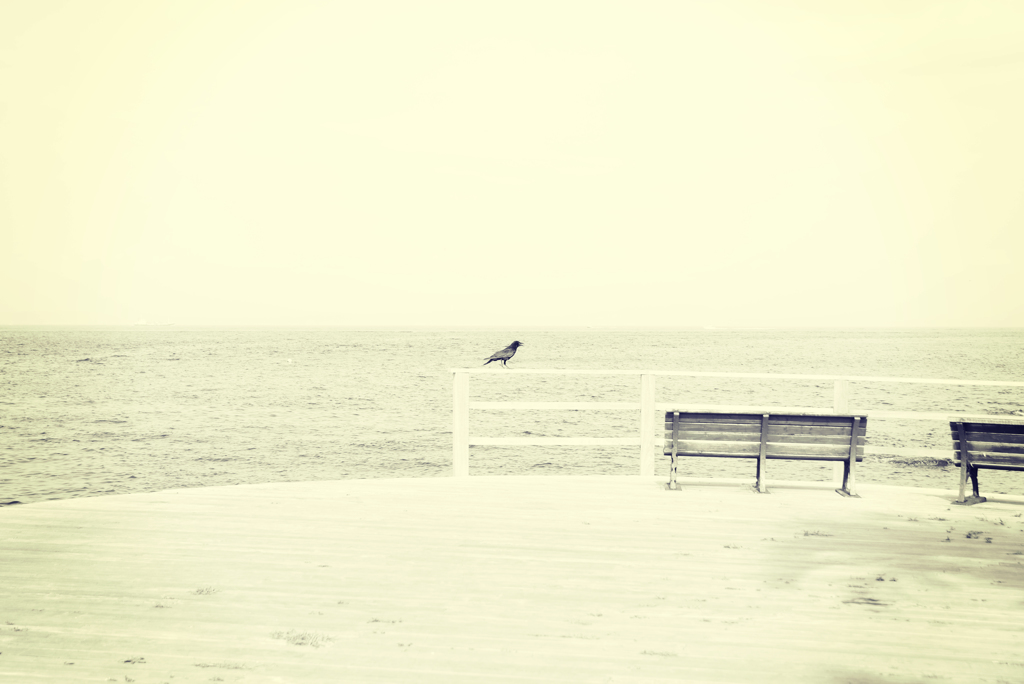 クロちゃんです!