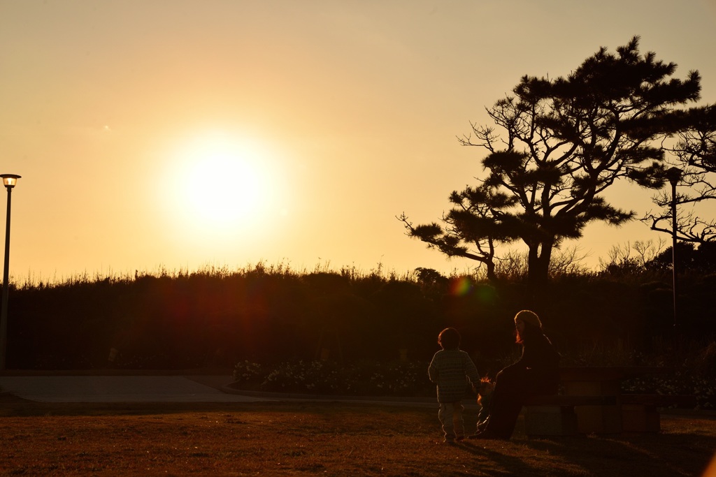 やさしいひかり