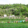 CaMPs