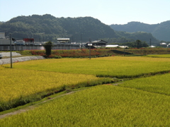 彼岸の風景