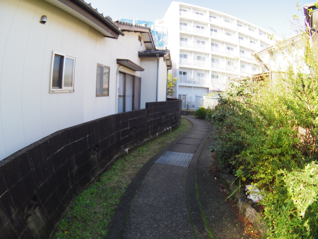 03 FISH-EYE