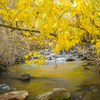 Fall color at Mcgee Creek