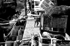 Black&White 19