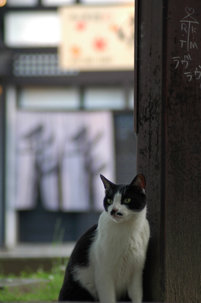 相合傘