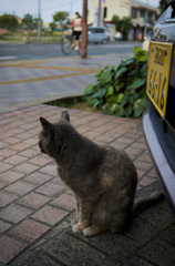 早く帰ってきてね。
