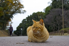 寒むなりましたなぁ〜。