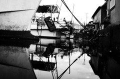 Black&White 23