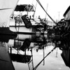 Black&White 23