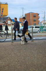 お昼休み。