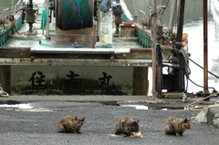 どう見たって3兄弟でしょ～。
