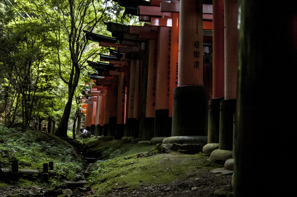 鳥居と自然と人間と。