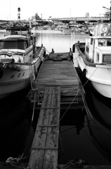 Black&White 29