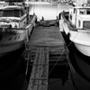 Black&White 29