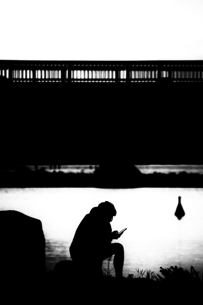 野外読書