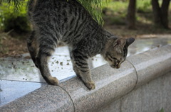 いちっ！にぃ〜のっ！さ・・