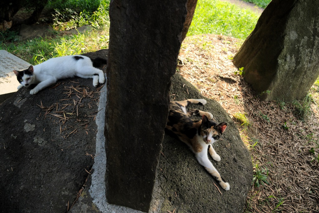 パンチでデート。