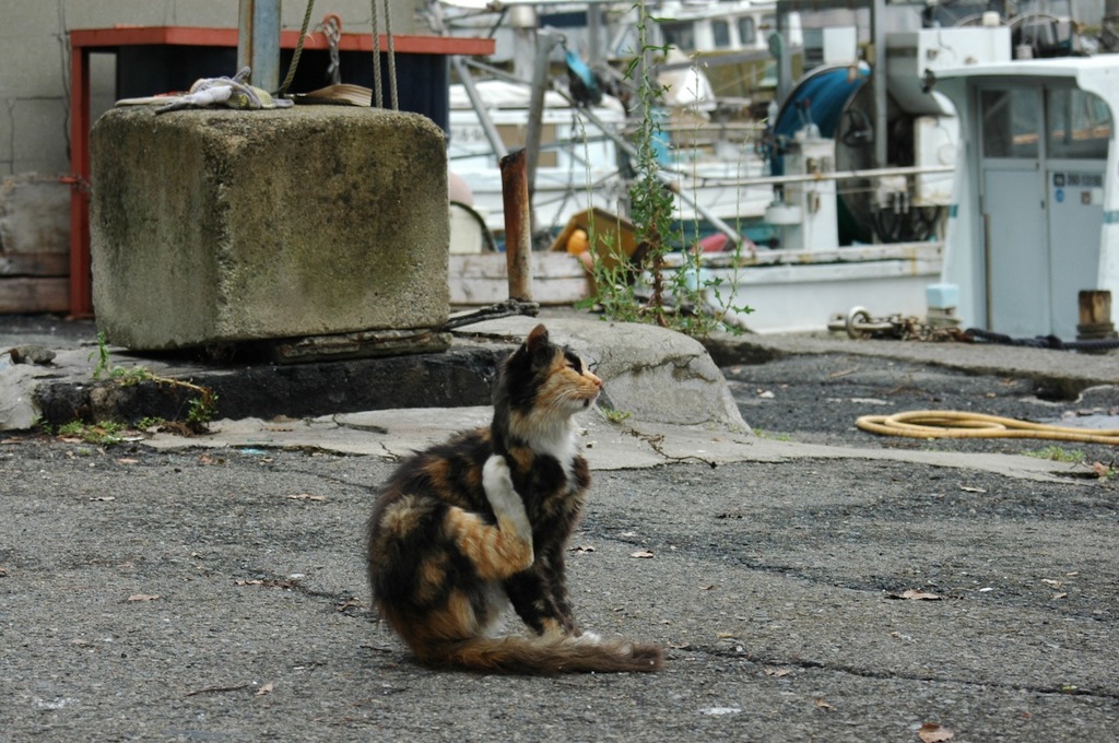 マジっ痒いぜぇ〜。