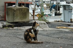 マジっ痒いぜぇ〜。