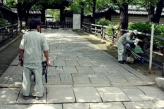 四天王寺境内から（清掃員）