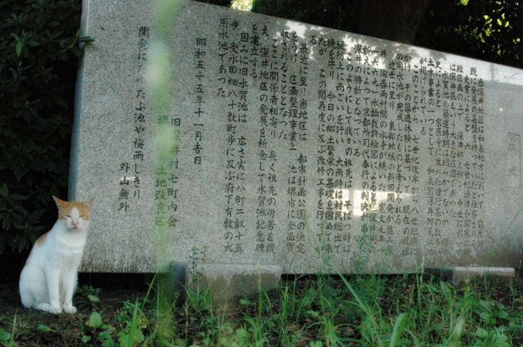 ボクの自己紹介長すぎぃ〜。