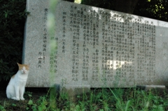 ボクの自己紹介長すぎぃ〜。