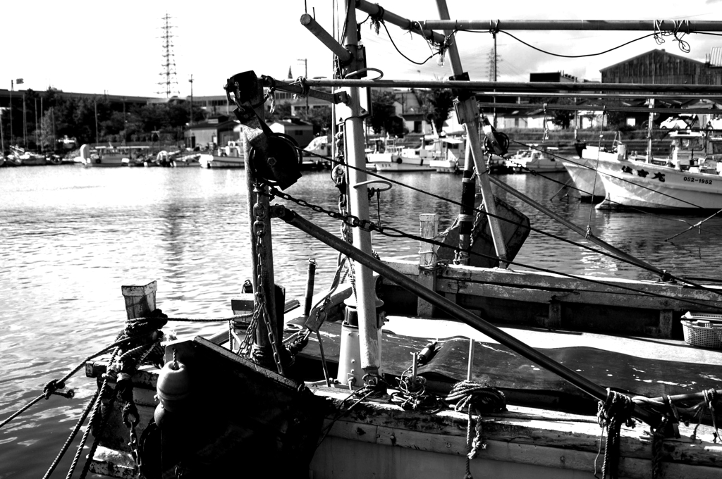 Black&White 21