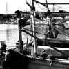 Black&White 21
