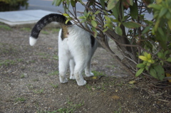 お尻ぃ〜。