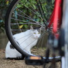 隠れんぼ？