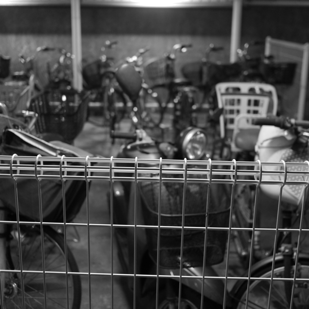 自転車置き場