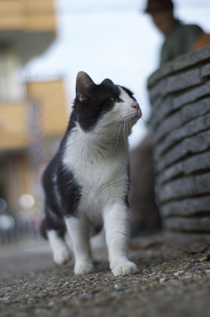 誰か呼んだか？
