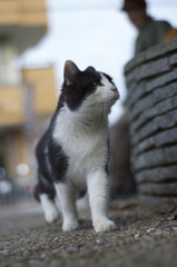 誰か呼んだか？