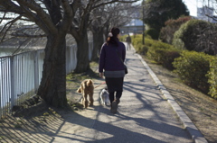 夕暮れの遊歩道。