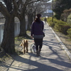 夕暮れの遊歩道。