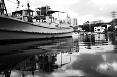 Black&White 22