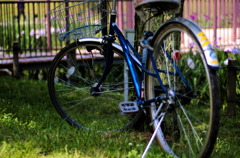 I want to ride my bicycle