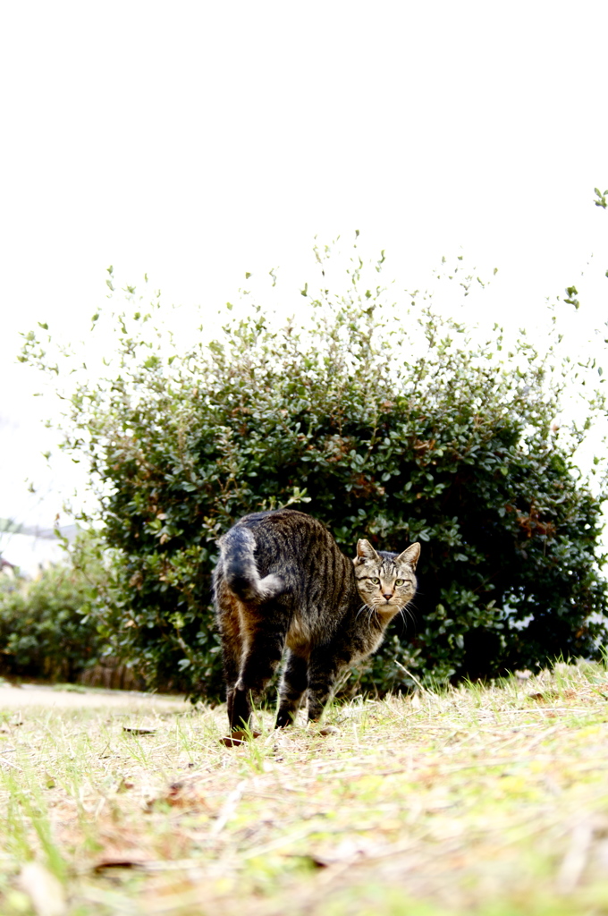 ほら、こっちだよ。