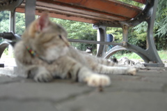 ピントがズレてるよ。
