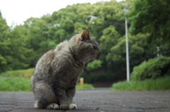 最近ちょっと太り気味ぃ〜。