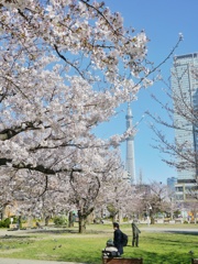 錦糸町公園とスカイツリー