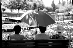Black&White 43