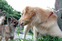 目と目が合ったその日から