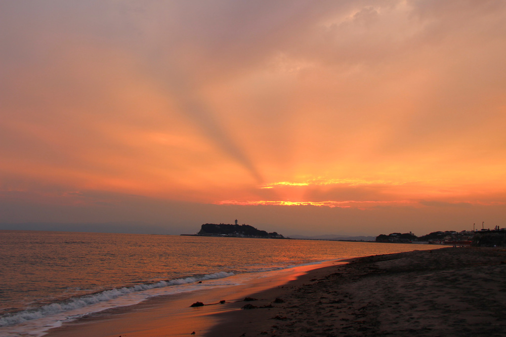 夕暮れお散歩