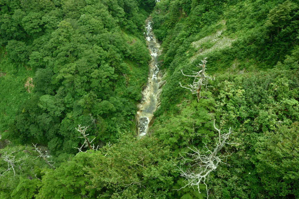 渓谷1