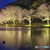 夜桜＃１