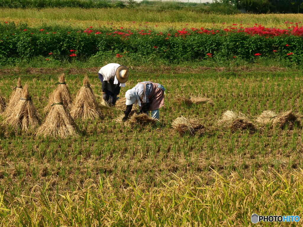 老夫婦　P1125729