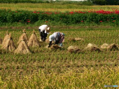 老夫婦　P1125729