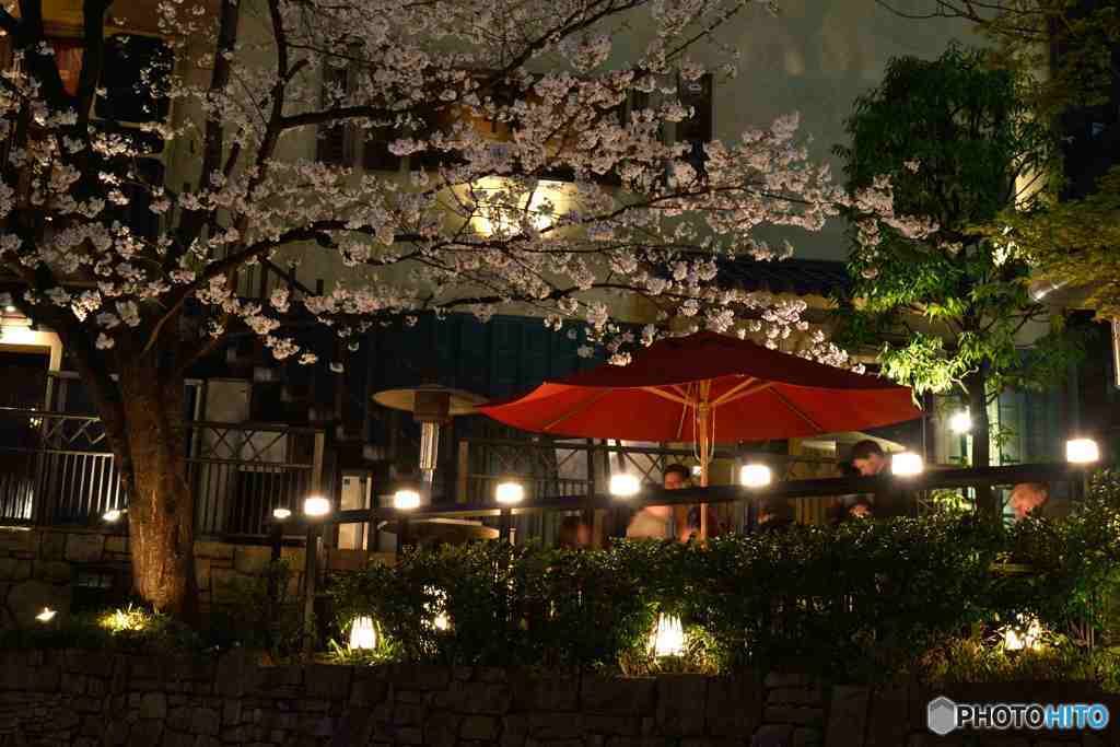 西麻布交差点の夜桜