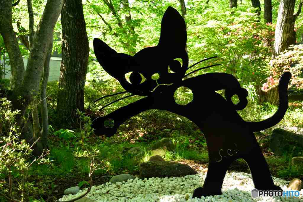 藤城清治美術館のネコ～２